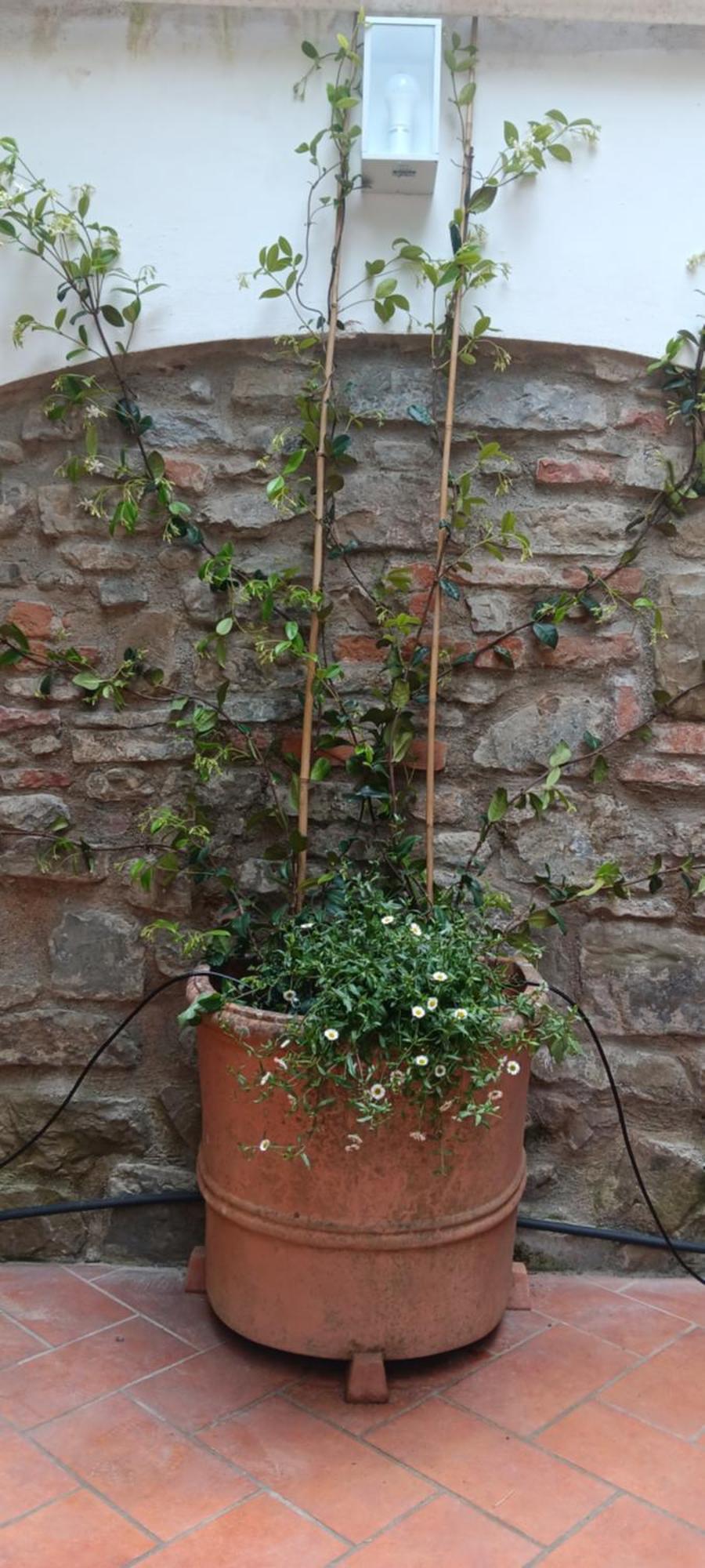 Casa Il Patio Florenz