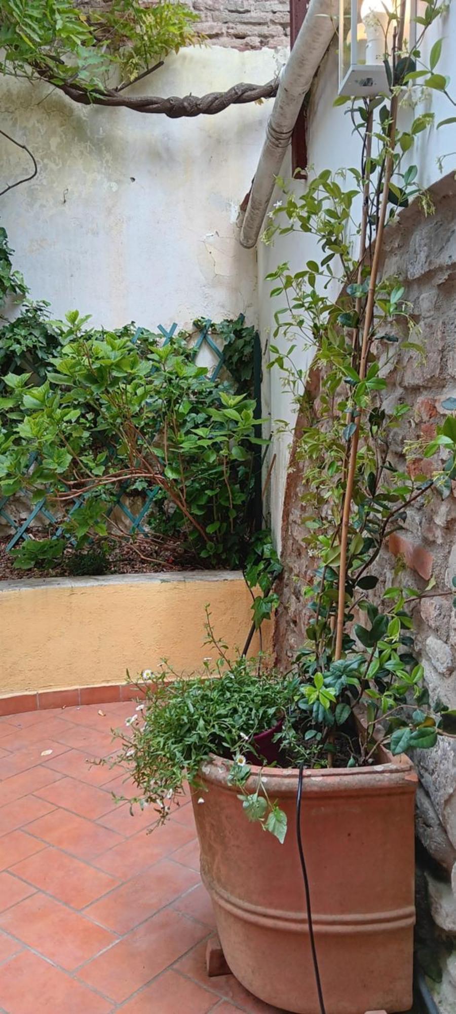 Apartment Casa Il Patio Florenz