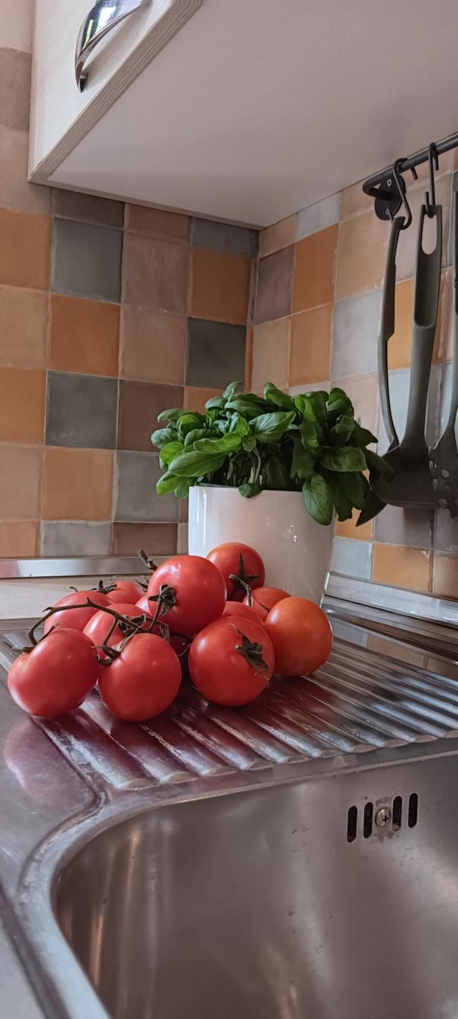 Appartamento Casa Il Patio Firenze