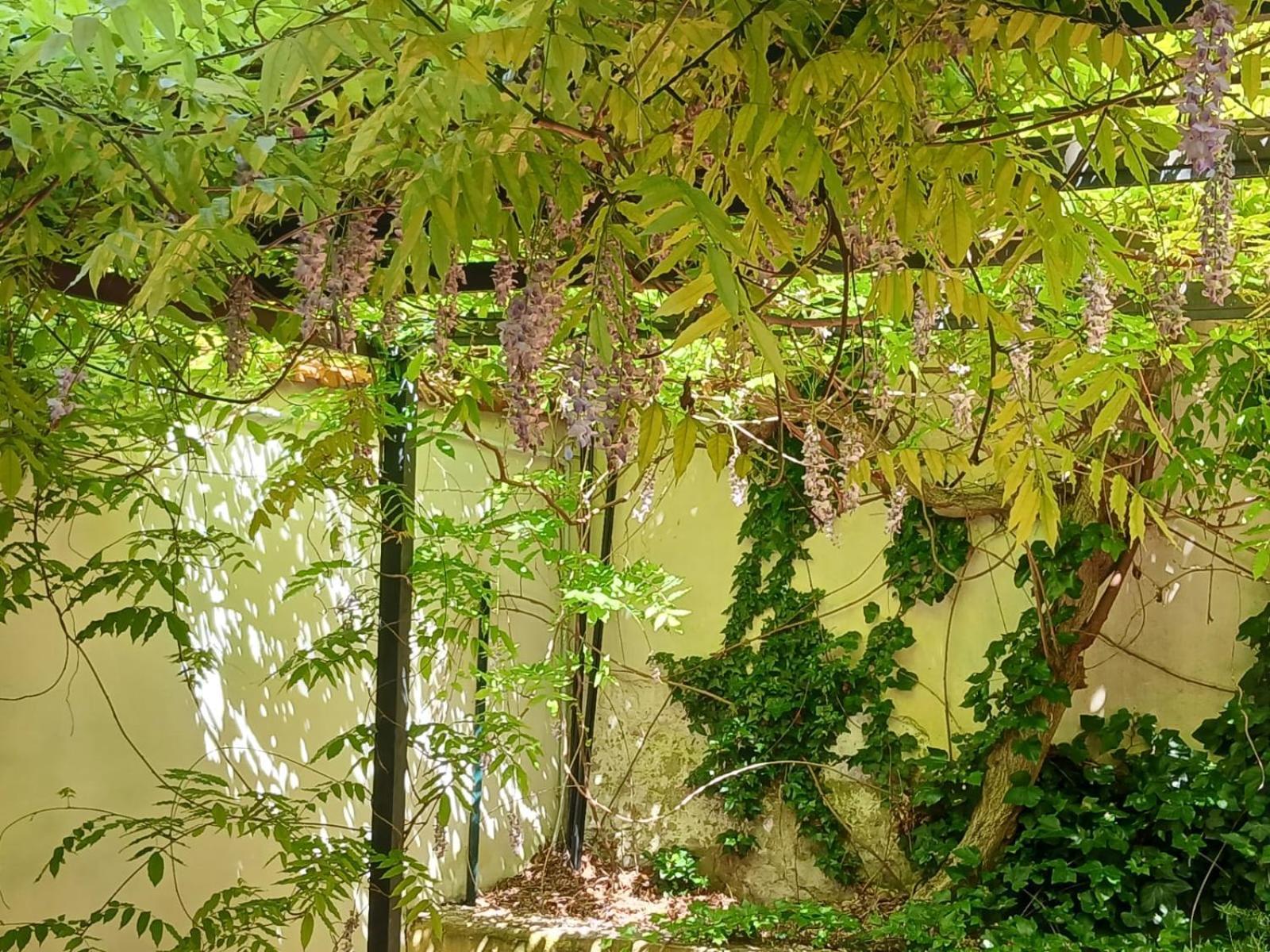 Appartamento Casa Il Patio Firenze